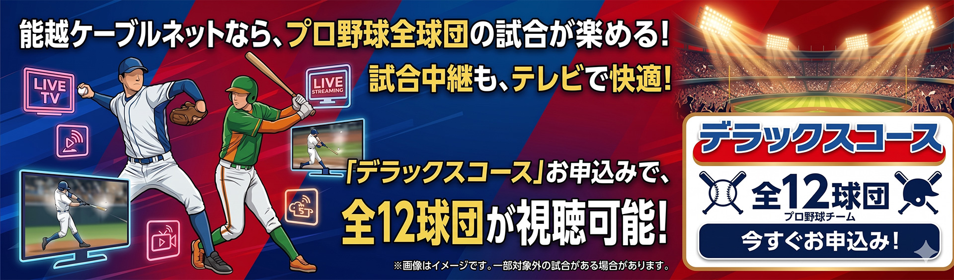 デラックスコースお申込みで、全12球団が視聴可能!