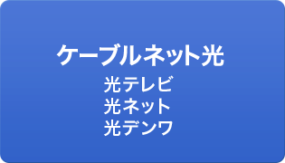 ケーブルネット光（光テレビ・光ネット・光デンワ）