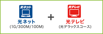 光ネット（1G/300M/100M）＋光テレビ（光デラックスコース）