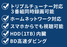 トリプルチューナー対応 3番組同時録画可能・ホームネットワーク対応・スマホからでも視聴可能・HDD（1TB）内臓・BD高速ダビング