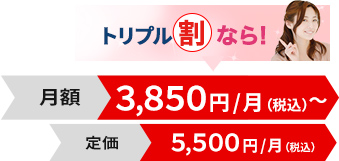 トリプル割なら！月額3,850円/月（税込）　定価5,500円/月（税込）