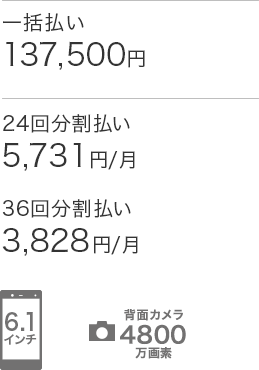 ディスプレイ：6.1インチ　背面カメラ：4800万画素　価格（税込）：一括払い137,500円・24回分割払い5,731円/月・36回分割払い3,828円/月